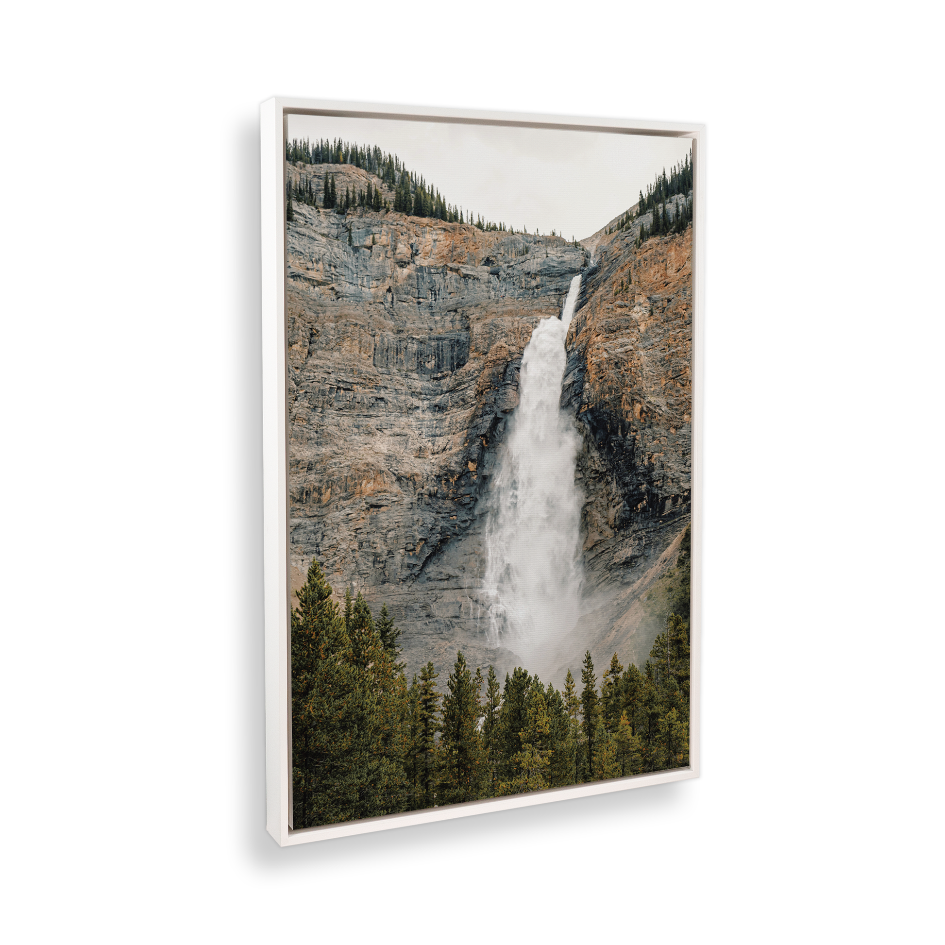 [color:Satin White], Picture of art in frame