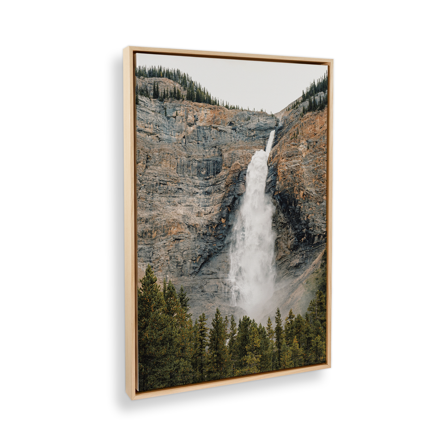 [color:American Maple], Picture of art in frame