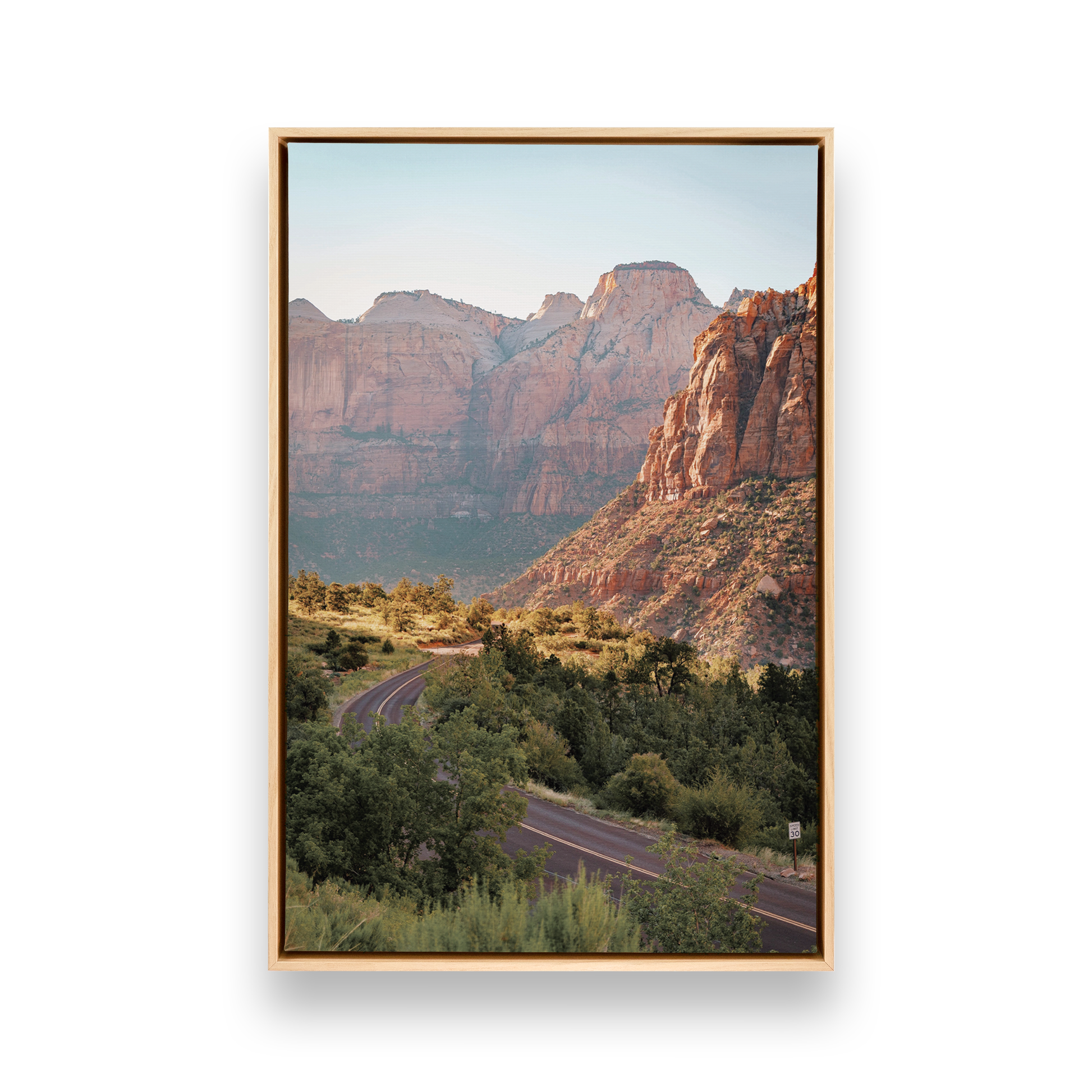 [color:American Maple], Picture of art in frame