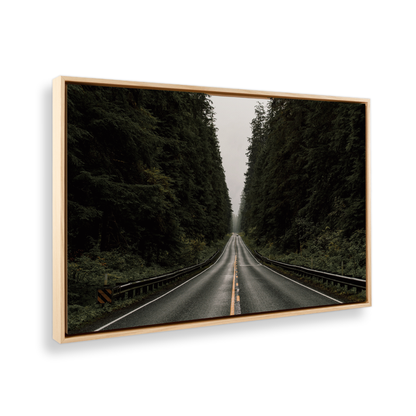 [color:American Maple], Picture of art in frame