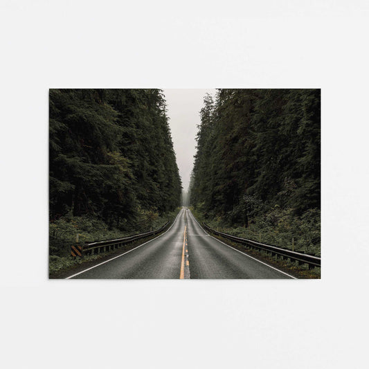 Forest Road Print Promotional Rolled Print