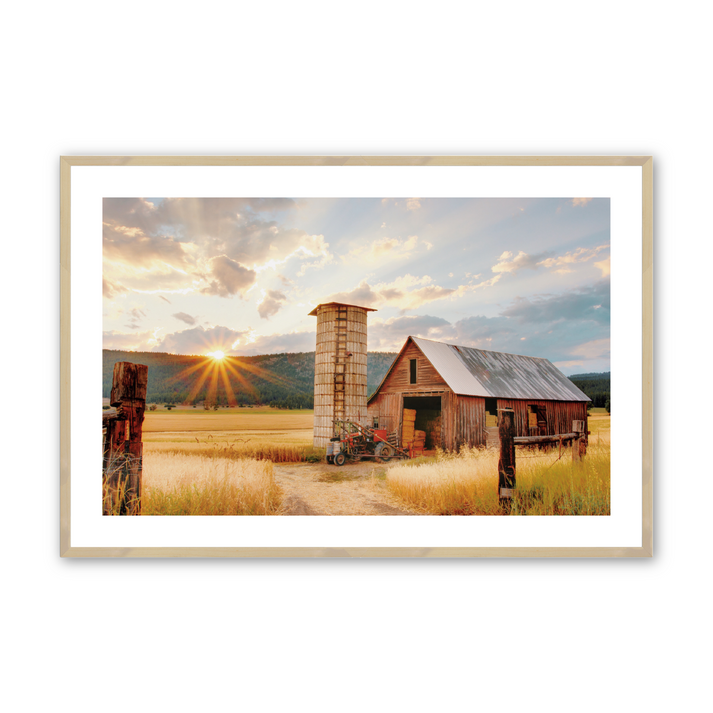 Golden harvest print in a maple frame