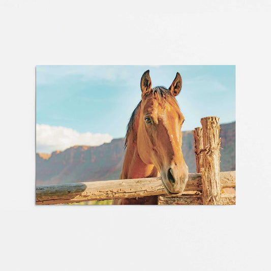 Equestrian Solace Print Promotional Rolled Print