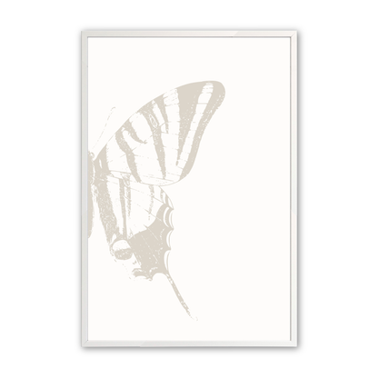 [color:Opaque White], Picture of right wing of the butterfly