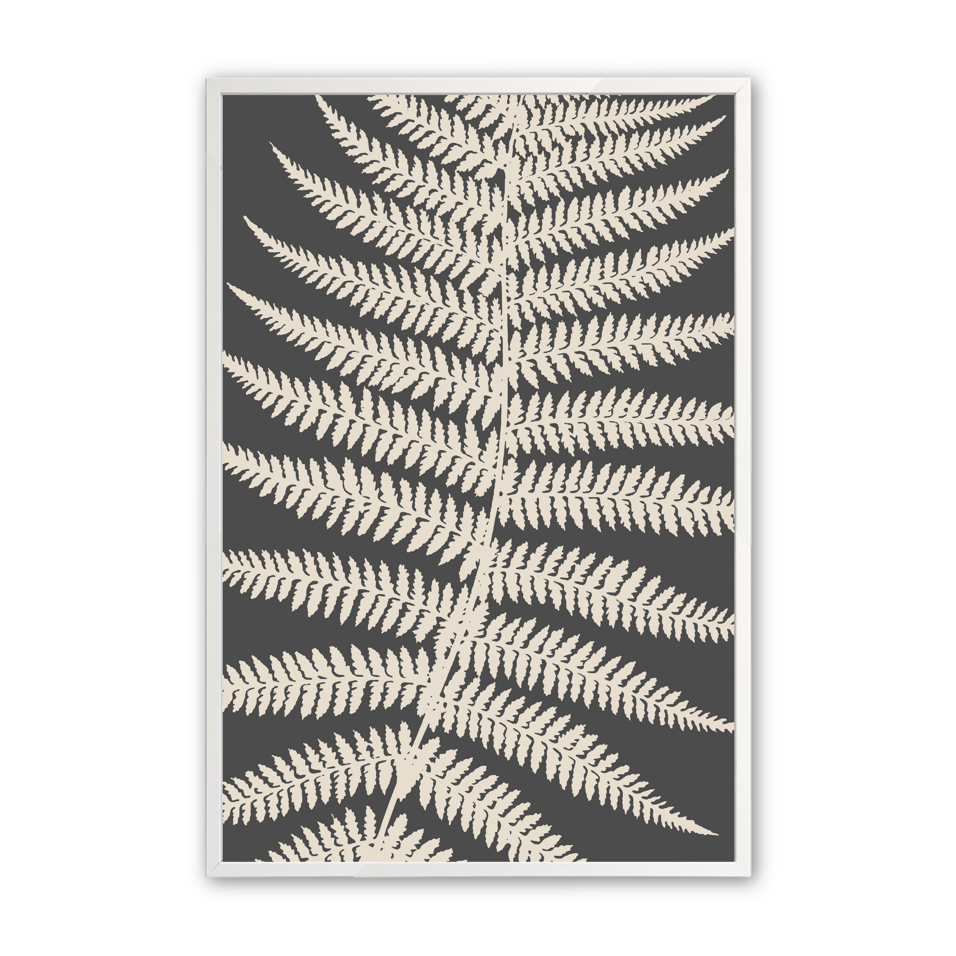 [color:Opaque White], Picture of the third fern in the set