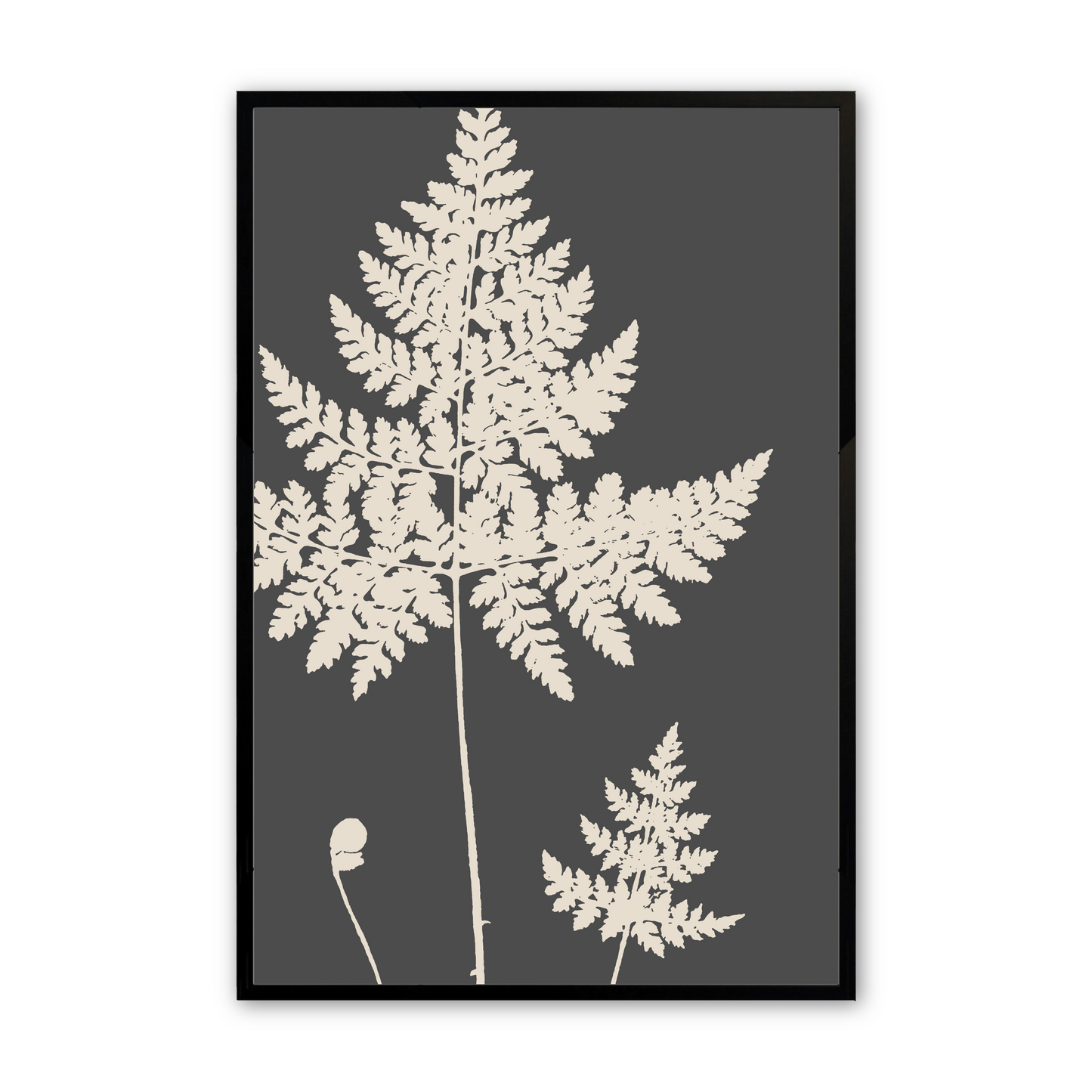 [color:Satin Black], Picture of the forth fern in the set