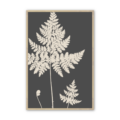 [color:Raw Maple], Picture of the forth fern in the set