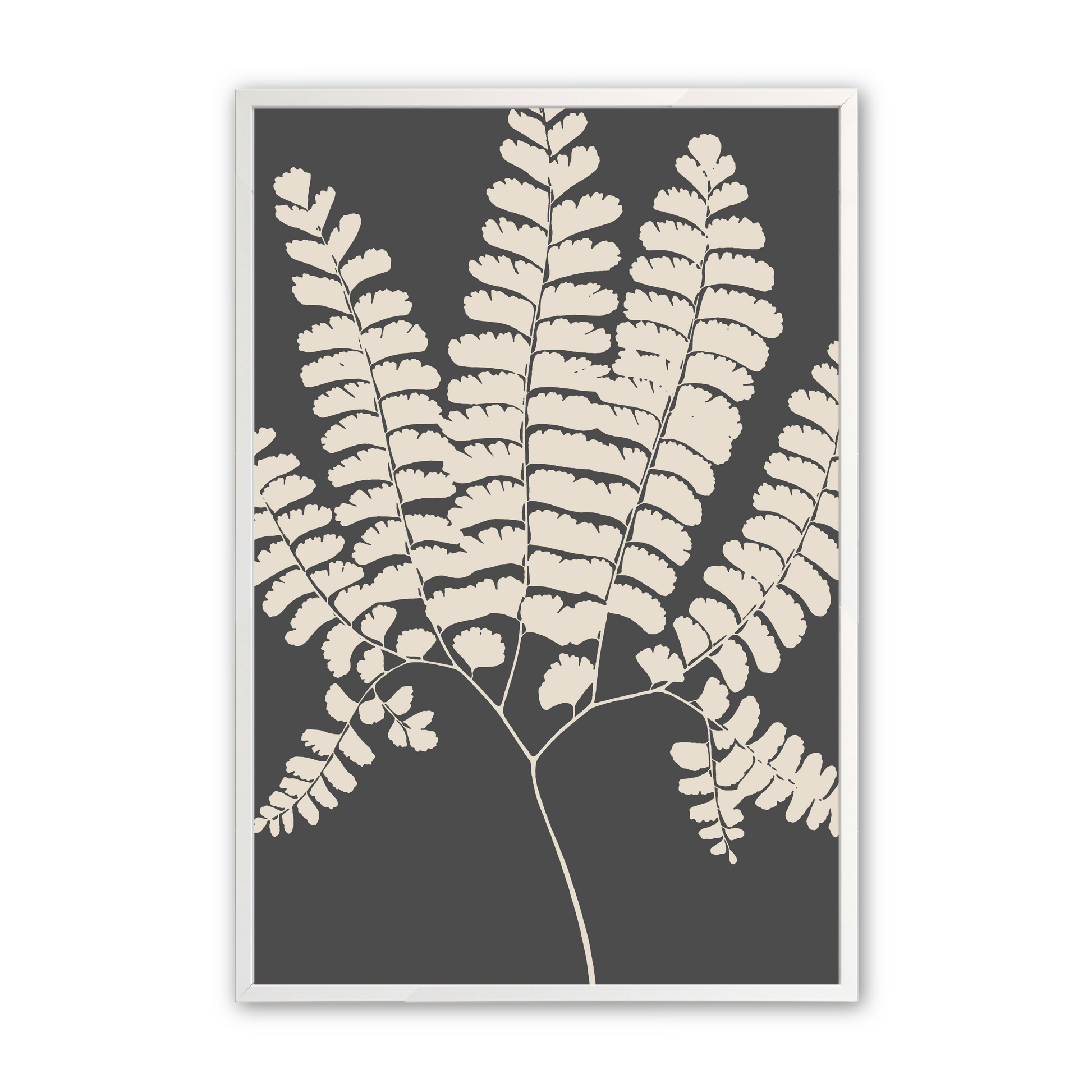 [color:Opaque White], Picture of the fifth fern in the set