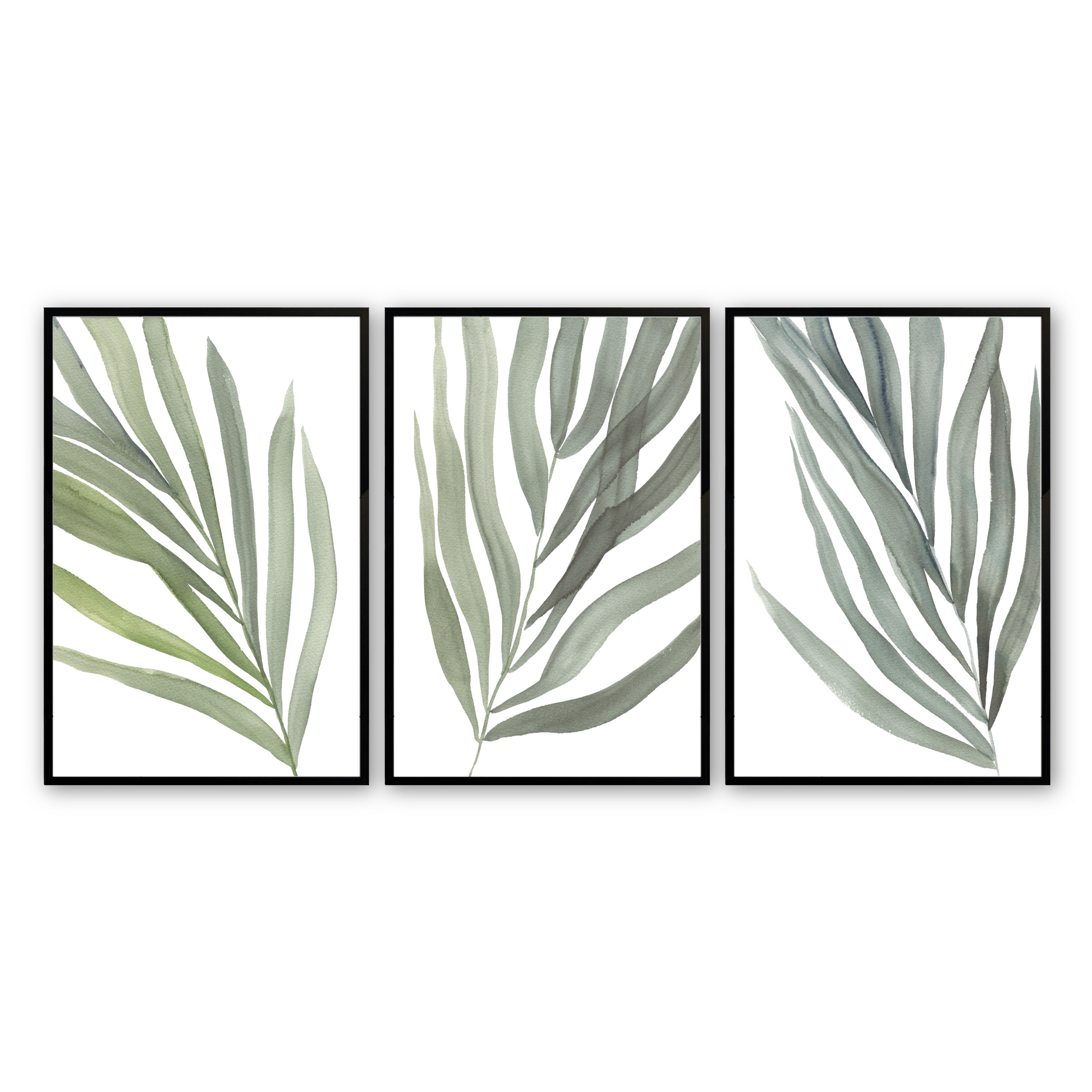 [color:Satin Black], Picture of the set of 3 prints of ferns in a black frame