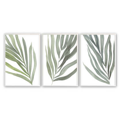 [color:Opaque White], Picture of the set of 3 prints of ferns in a white frame