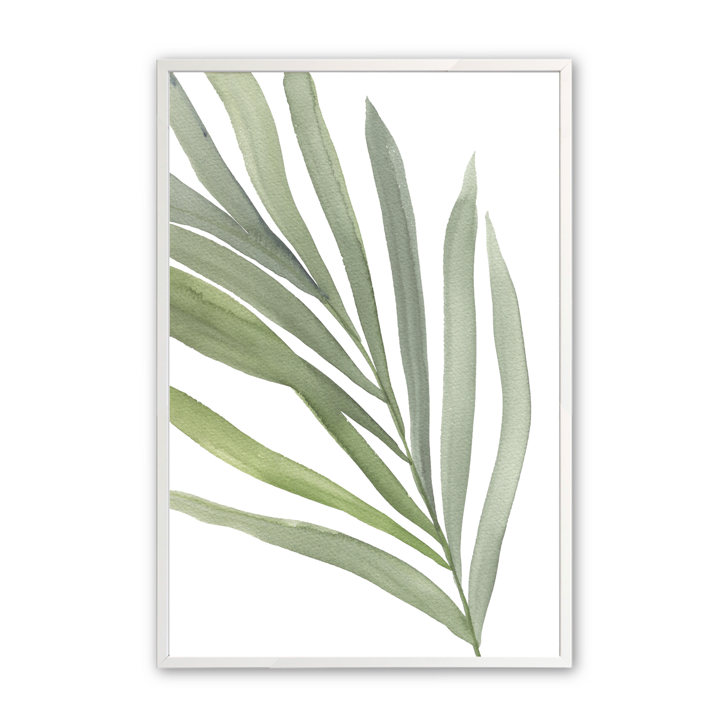 [color:Opaque White], Picture of the first print of 3 ferns in a white frame