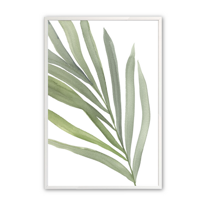 [color:Opaque White], Picture of the first print of 3 ferns in a white frame