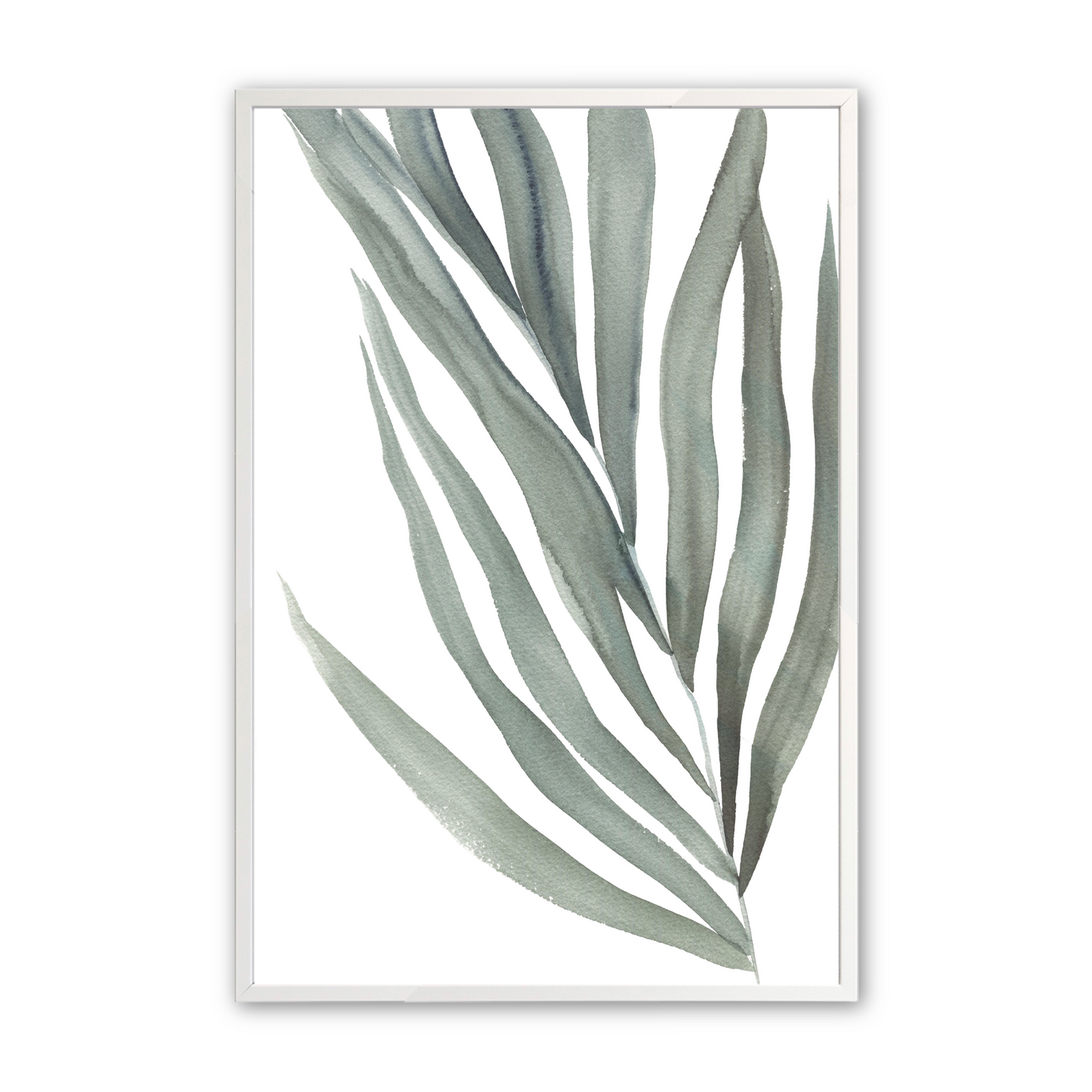[color:Opaque White], Picture of the third print of 3 ferns in a white frame
