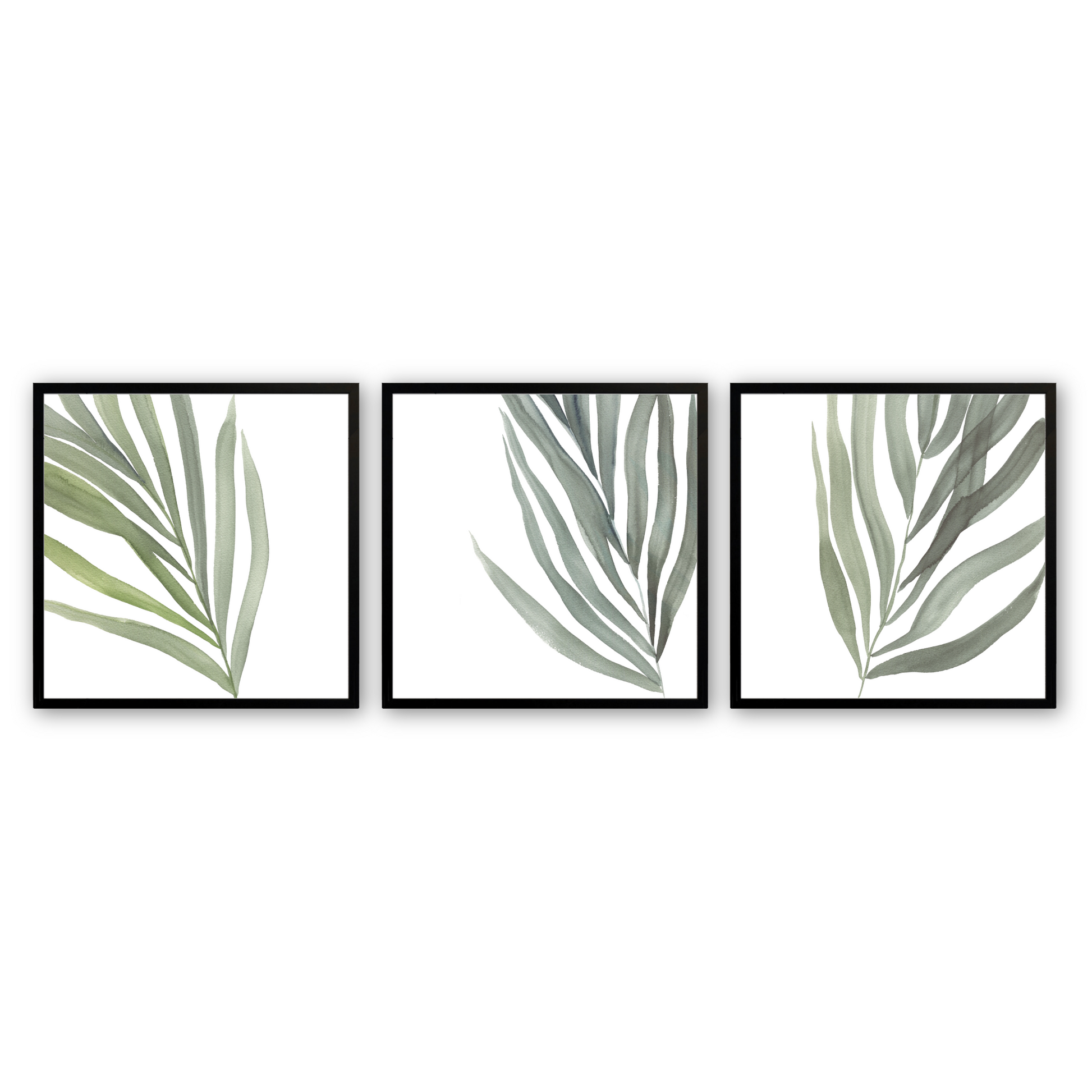 [color:Satin Black], Picture of the set of 3 prints of ferns in a black frame