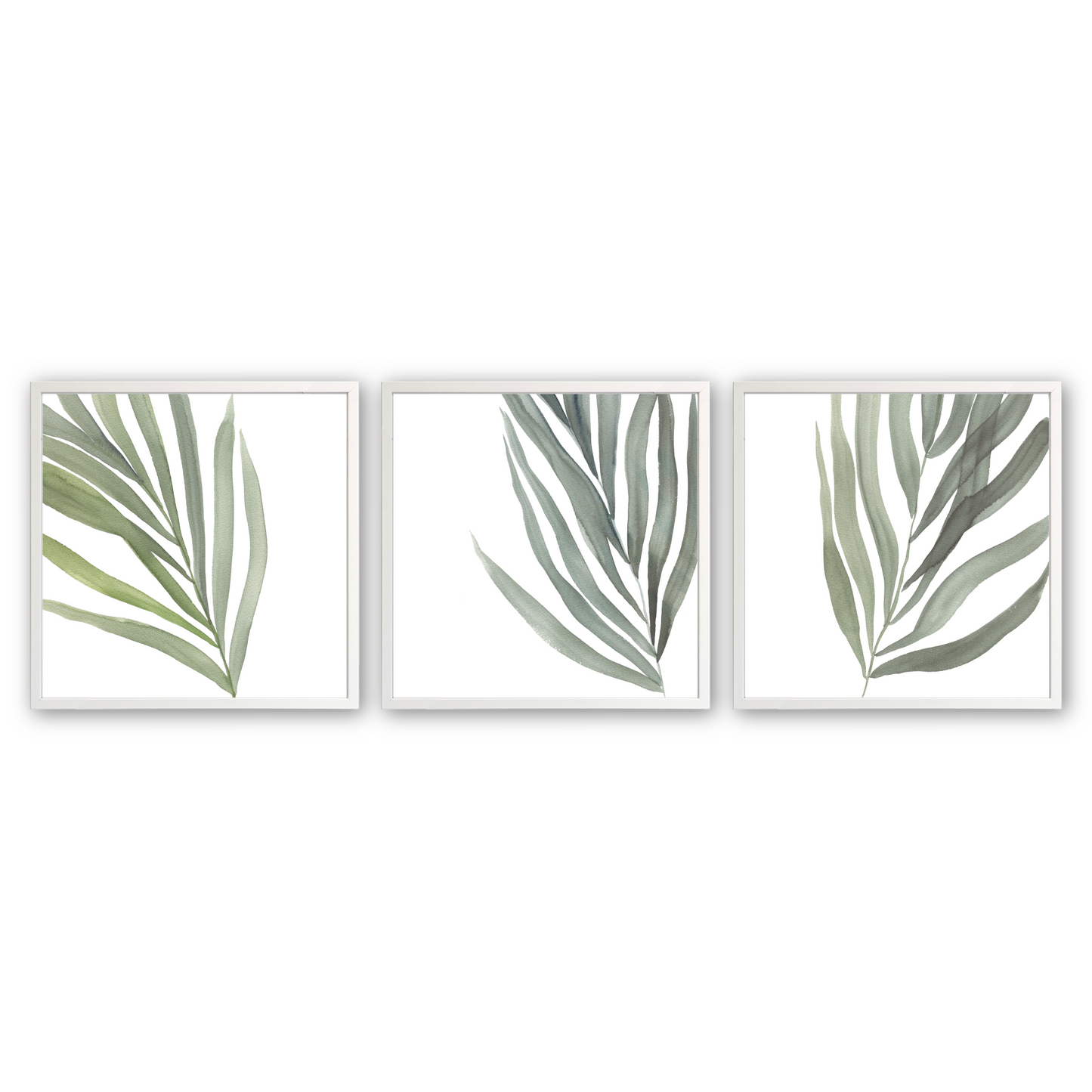 [color:Opaque White], Picture of the set of 3 prints of ferns in a white frame