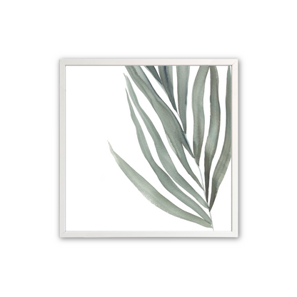 [color:Opaque White], Picture of the second print of 3 ferns in a white frame