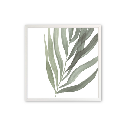 [color:Opaque White], Picture of the third print of 3 ferns in a white frame