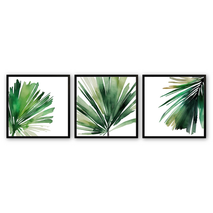 [color:Satin Black], Picture of the set of 3 prints of palms in a black frame