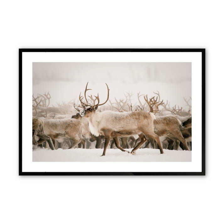 Splendor of nature print in a black frame